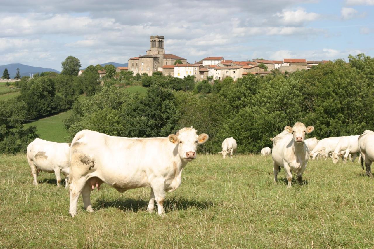 La Paresse En Douce Bed and Breakfast Tours-Sur-Meymont Buitenkant foto